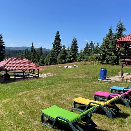 Cabana Transilvania 贝里斯 外观 照片