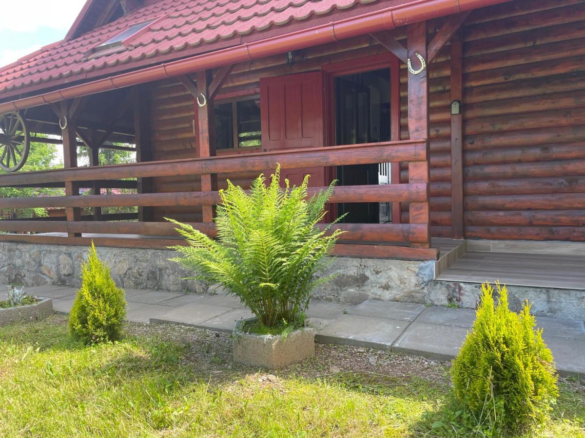 Cabana Transilvania 贝里斯 外观 照片