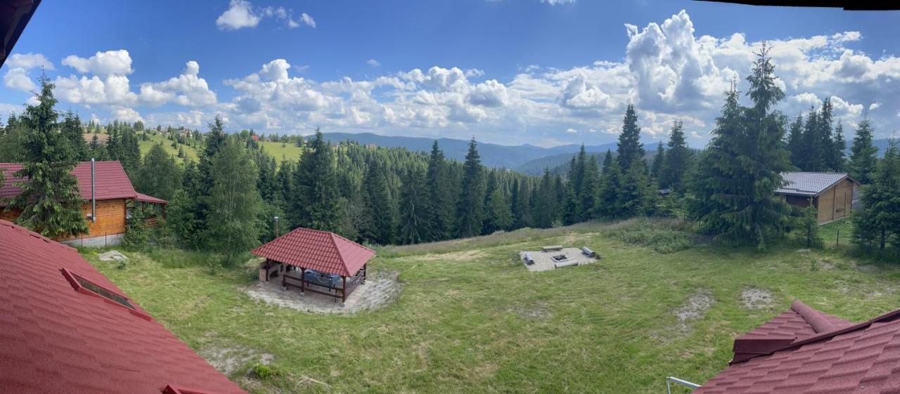 Cabana Transilvania 贝里斯 外观 照片