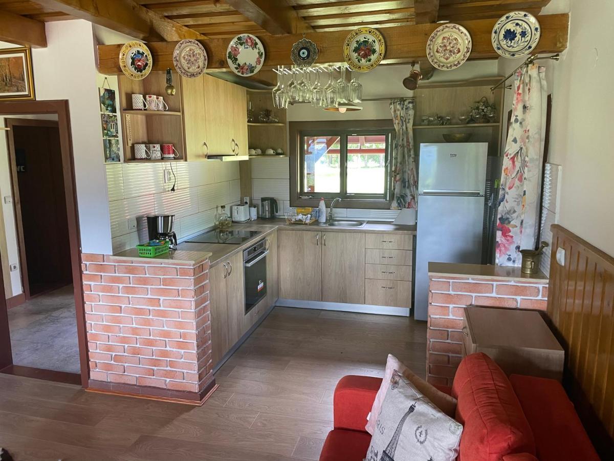 Cabana Transilvania 贝里斯 外观 照片
