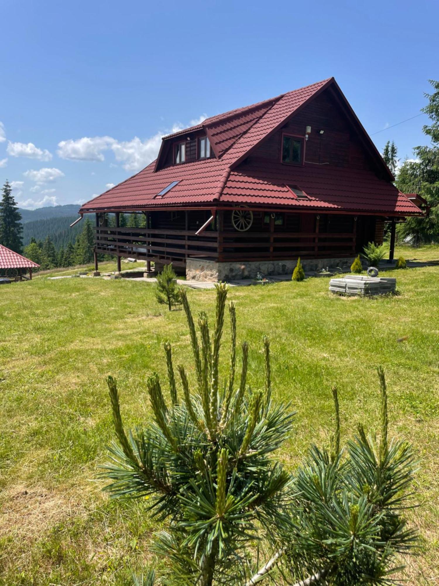 Cabana Transilvania 贝里斯 外观 照片